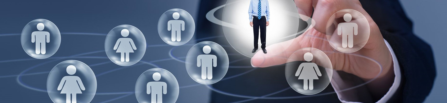 Executive Search